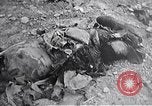 Image bataille d'Iwo Jima Iwo Jima, 1945, de la seconde 46 séquences d'archives historiques vidéo 65675036302