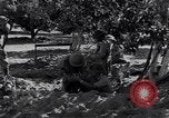 Image of Israeli soldiers fight Arab forces Palestine, 1948, second 3 stock footage video 65675036308