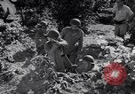 Image of Israeli soldiers fight Arab forces Palestine, 1948, second 9 stock footage video 65675036308