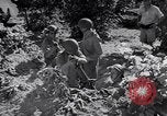 Image of Israeli soldiers fight Arab forces Palestine, 1948, second 10 stock footage video 65675036308
