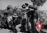 Image of Israeli soldiers fight Arab forces Palestine, 1948, second 24 stock footage video 65675036308