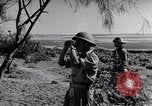 Image of Israeli soldiers fight Arab forces Palestine, 1948, second 31 stock footage video 65675036308