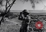 Image of Israeli soldiers fight Arab forces Palestine, 1948, second 32 stock footage video 65675036308