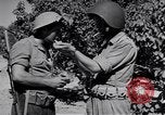 Image of Israeli soldiers fight Arab forces Palestine, 1948, second 60 stock footage video 65675036308