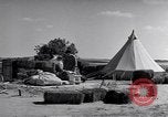 Image of Israeli soldiers prepare food Palestine, 1948, second 18 stock footage video 65675036309