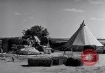 Image of Israeli soldiers prepare food Palestine, 1948, second 19 stock footage video 65675036309