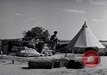 Image of Israeli soldiers prepare food Palestine, 1948, second 20 stock footage video 65675036309