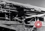 Image of Israeli soldiers prepare food Palestine, 1948, second 52 stock footage video 65675036309