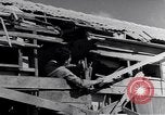Image of Israeli soldiers prepare food Palestine, 1948, second 53 stock footage video 65675036309