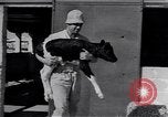 Image of Israeli soldiers prepare food Palestine, 1948, second 56 stock footage video 65675036309
