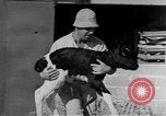 Image of Israeli soldiers prepare food Palestine, 1948, second 57 stock footage video 65675036309