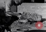 Image of Israeli soldiers prepare food Palestine, 1948, second 58 stock footage video 65675036309
