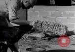 Image of Israeli soldiers prepare food Palestine, 1948, second 59 stock footage video 65675036309