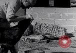 Image of Israeli soldiers prepare food Palestine, 1948, second 61 stock footage video 65675036309