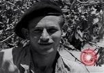 Image of Israeli soldiers hold position Palestine, 1948, second 29 stock footage video 65675036310