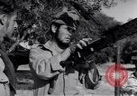Image of Israeli soldiers hold position Palestine, 1948, second 30 stock footage video 65675036310