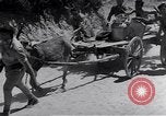 Image of Israeli soldiers hold position Palestine, 1948, second 60 stock footage video 65675036310