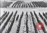 Image of US Army World War 1 training camp United States USA, 1917, second 11 stock footage video 65675036343