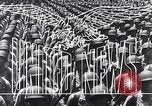 Image of World War II Europe, 1945, second 14 stock footage video 65675036362