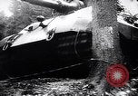 Image of World War II Europe, 1945, second 48 stock footage video 65675036362