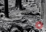Image of surrender of Japan Tokyo Bay Japan, 1945, second 62 stock footage video 65675036366