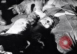 Image mort de Benito Mussolini Milan Italie, 1945, de la seconde 16 séquences d'archives historiques vidéo 65675036367