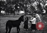 Image Thomas Dewey Junction City Kansas USA, 1948, de la seconde 11 séquences d'archives historiques vidéo 65675036369