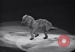 Standbild New York Ice Follies New York City USA, 1937, aus Sekunde 18 historischem Filmmaterial Videoclip 65675036426