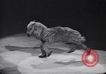 Standbild New York Ice Follies New York City USA, 1937, aus Sekunde 20 historischem Filmmaterial Videoclip 65675036426