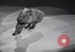 Standbild New York Ice Follies New York City USA, 1937, aus Sekunde 23 historischem Filmmaterial Videoclip 65675036426