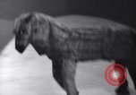 Standbild New York Ice Follies New York City USA, 1937, aus Sekunde 27 historischem Filmmaterial Videoclip 65675036426