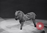 Standbild New York Ice Follies New York City USA, 1937, aus Sekunde 29 historischem Filmmaterial Videoclip 65675036426