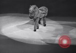 Standbild New York Ice Follies New York City USA, 1937, aus Sekunde 30 historischem Filmmaterial Videoclip 65675036426