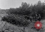 Image Les citoyens Camp d'entraînement militaire Plattsburgh New York USA, 1914, de la seconde 41 séquences d'archives historiques vidéo 65675036432