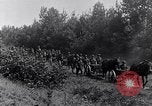 Image Les citoyens Camp d'entraînement militaire Plattsburgh New York USA, 1914, de la seconde 50 séquences d'archives historiques vidéo 65675036432