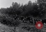 Image Les citoyens Camp d'entraînement militaire Plattsburgh New York USA, 1914, de la seconde 53 séquences d'archives historiques vidéo 65675036432