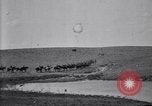 Immagine di Stati Uniti Esercito 8° reggimento di cavalleria acqua i loro cavalli dopo manovre Marfa Texas USA, 1923, secondo 6 filmato di repertorio 65675036447