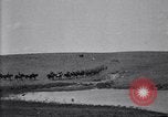 Immagine di Stati Uniti Esercito 8° reggimento di cavalleria acqua i loro cavalli dopo manovre Marfa Texas USA, 1923, secondo 7 filmato di repertorio 65675036447