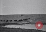 Immagine di Stati Uniti Esercito 8° reggimento di cavalleria acqua i loro cavalli dopo manovre Marfa Texas USA, 1923, secondo 8 filmato di repertorio 65675036447