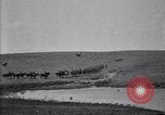 Immagine di Stati Uniti Esercito 8° reggimento di cavalleria acqua i loro cavalli dopo manovre Marfa Texas USA, 1923, secondo 9 filmato di repertorio 65675036447