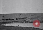 Immagine di Stati Uniti Esercito 8° reggimento di cavalleria acqua i loro cavalli dopo manovre Marfa Texas USA, 1923, secondo 10 filmato di repertorio 65675036447