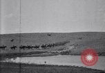 Immagine di Stati Uniti Esercito 8° reggimento di cavalleria acqua i loro cavalli dopo manovre Marfa Texas USA, 1923, secondo 11 filmato di repertorio 65675036447