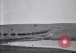 Immagine di Stati Uniti Esercito 8° reggimento di cavalleria acqua i loro cavalli dopo manovre Marfa Texas USA, 1923, secondo 12 filmato di repertorio 65675036447