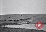 Immagine di Stati Uniti Esercito 8° reggimento di cavalleria acqua i loro cavalli dopo manovre Marfa Texas USA, 1923, secondo 13 filmato di repertorio 65675036447