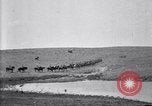 Immagine di Stati Uniti Esercito 8° reggimento di cavalleria acqua i loro cavalli dopo manovre Marfa Texas USA, 1923, secondo 14 filmato di repertorio 65675036447