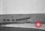 Immagine di Stati Uniti Esercito 8° reggimento di cavalleria acqua i loro cavalli dopo manovre Marfa Texas USA, 1923, secondo 15 filmato di repertorio 65675036447