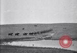 Immagine di Stati Uniti Esercito 8° reggimento di cavalleria acqua i loro cavalli dopo manovre Marfa Texas USA, 1923, secondo 16 filmato di repertorio 65675036447
