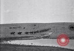 Immagine di Stati Uniti Esercito 8° reggimento di cavalleria acqua i loro cavalli dopo manovre Marfa Texas USA, 1923, secondo 17 filmato di repertorio 65675036447
