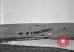 Immagine di Stati Uniti Esercito 8° reggimento di cavalleria acqua i loro cavalli dopo manovre Marfa Texas USA, 1923, secondo 20 filmato di repertorio 65675036447
