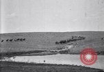 Immagine di Stati Uniti Esercito 8° reggimento di cavalleria acqua i loro cavalli dopo manovre Marfa Texas USA, 1923, secondo 37 filmato di repertorio 65675036447